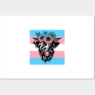 highland cow trans flag Posters and Art